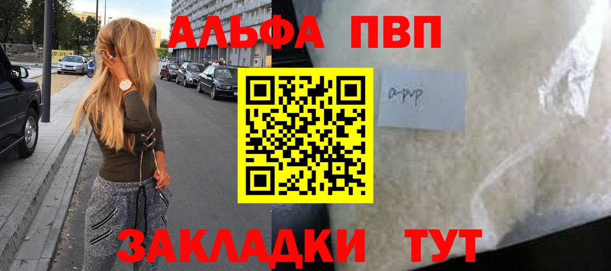 A PVP СК КРИС Аргун